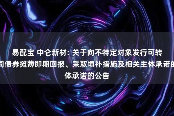 易配宝 中仑新材: 关于向不特定对象发行可转换公司债券摊薄即期回报、采取填补措施及相关主体承诺的公告