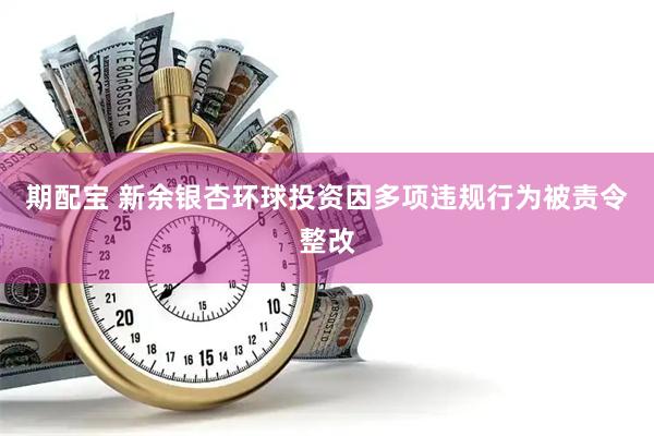 期配宝 新余银杏环球投资因多项违规行为被责令整改