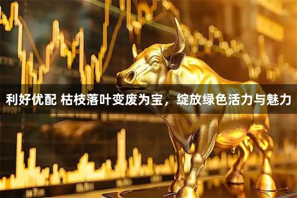 利好优配 枯枝落叶变废为宝，绽放绿色活力与魅力