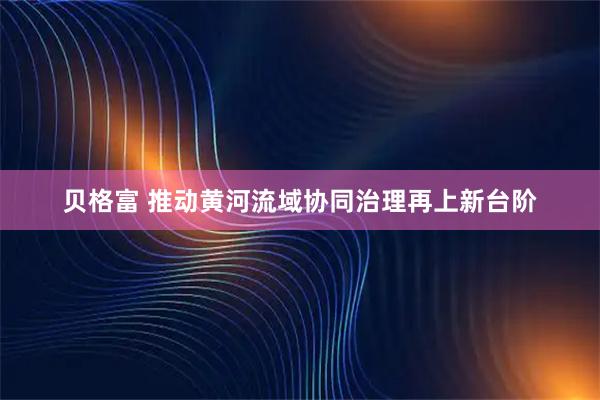 贝格富 推动黄河流域协同治理再上新台阶