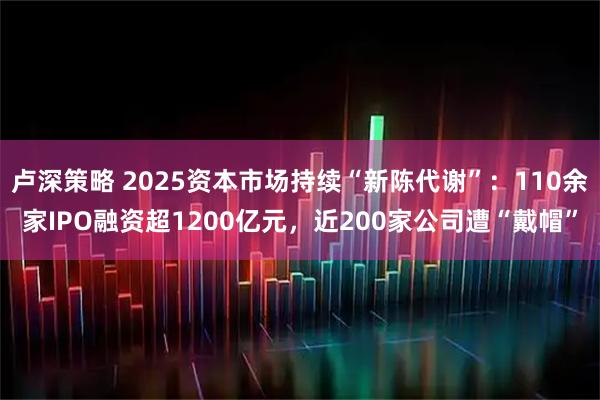 卢深策略 2025资本市场持续“新陈代谢”：110余家IPO融资超1200亿元，近200家公司遭“戴帽”