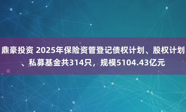 鼎豪投资 2025年保险资管登记债权计划、股权计划、私募基金共314只，规模5104.43亿元