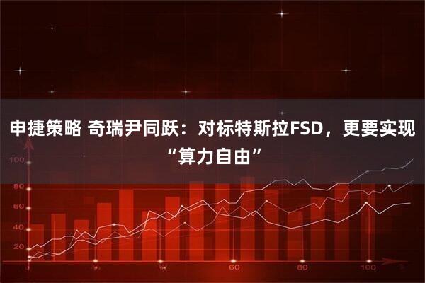 申捷策略 奇瑞尹同跃：对标特斯拉FSD，更要实现“算力自由”