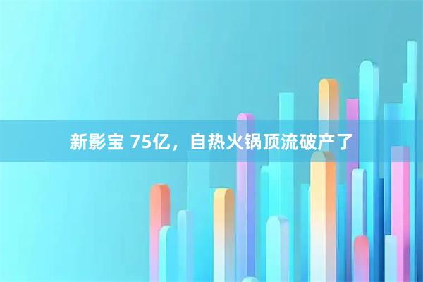 新影宝 75亿,自热火锅顶流破产了
