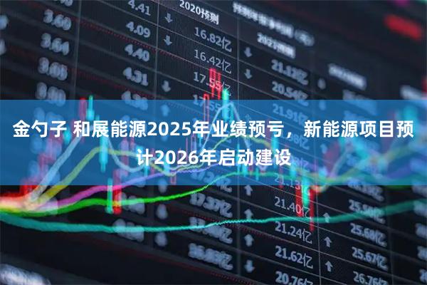 金勺子 和展能源2025年业绩预亏，新能源项目预计2026年启动建设