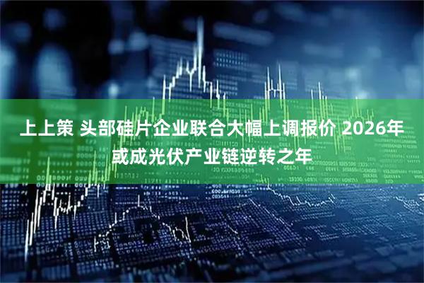 上上策 头部硅片企业联合大幅上调报价 2026年或成光伏产业链逆转之年