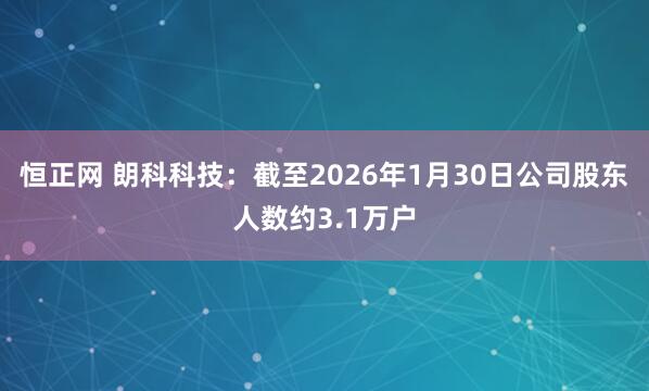 恒正网 朗科科技：截至2026年1月30日公司股东人数约3.1万户