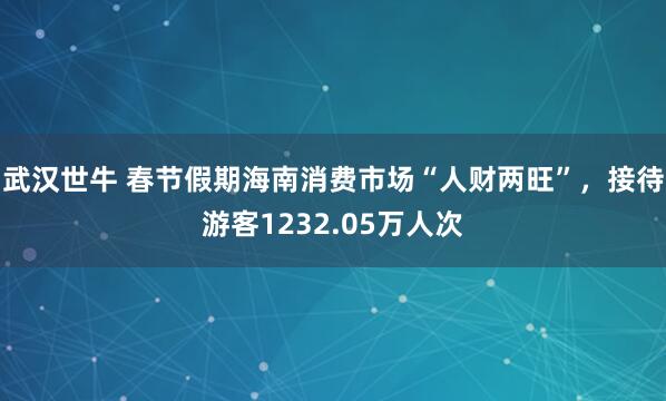 武汉世牛 春节假期海南消费市场“人财两旺”，接待游客1232.05万人次